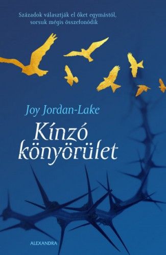 Kínzó könyörület - Joy Jordan-Lake | 