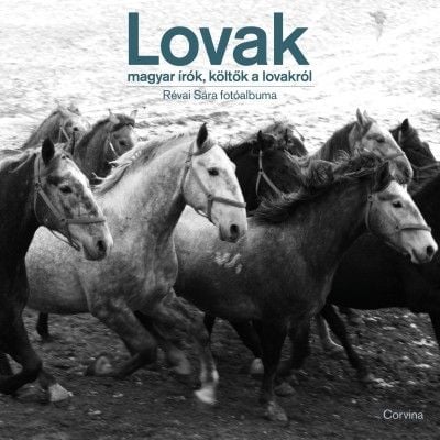 Lovak - magyar írók, költők lovakról