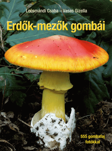 Erdők-mezők gombái - Vasas Gizella | 