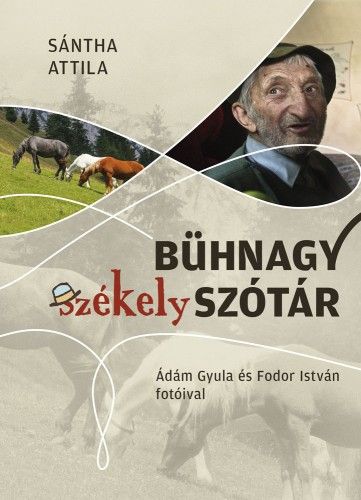 Bühnagy székely szótár - Sántha Attila pdf epub 