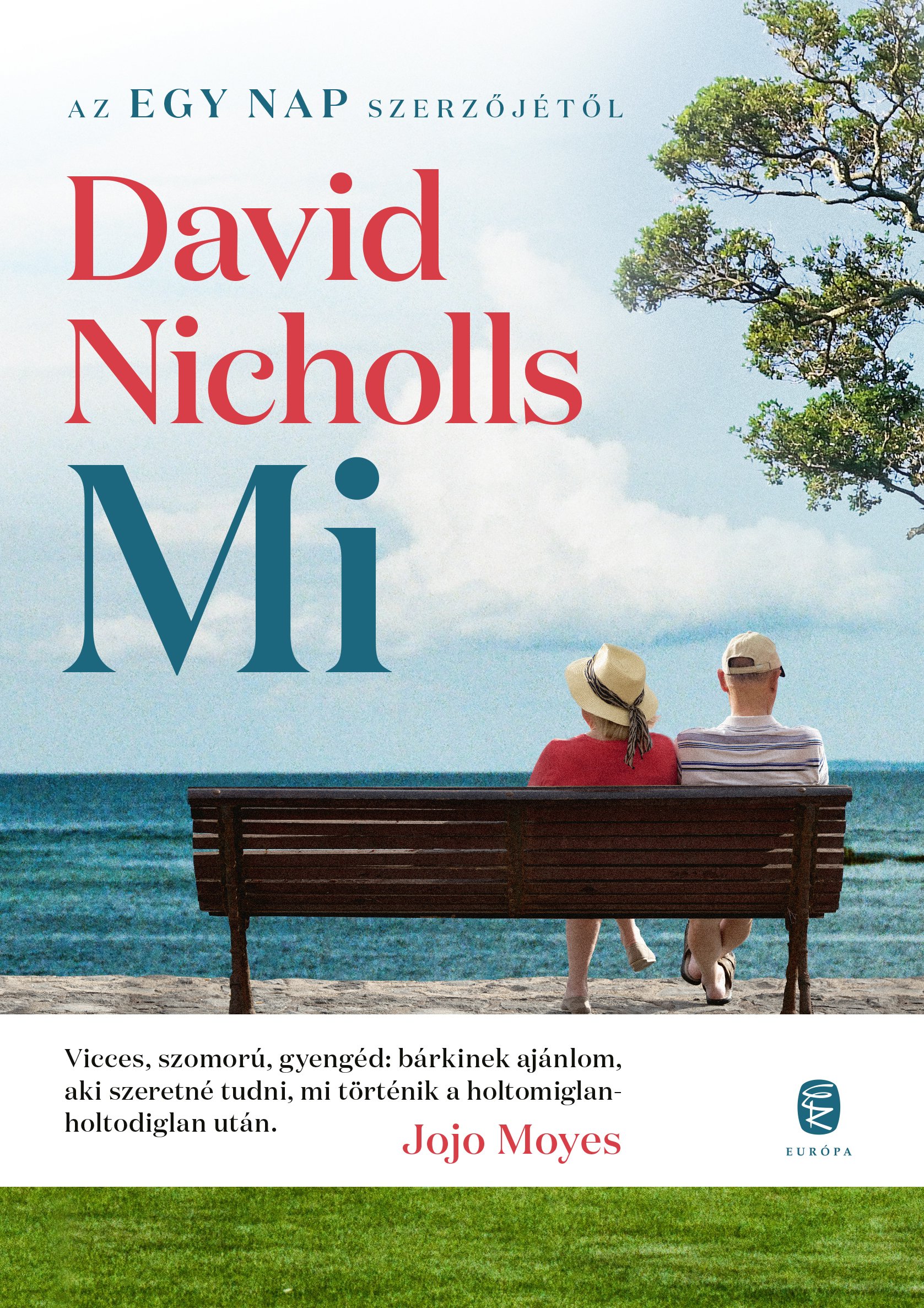Mi - David Nicholls | 