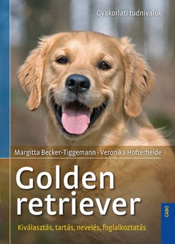 Golden retriever - Margitta Becker-Tigermann | 