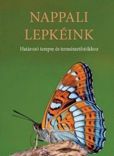 Nappali lepkéink - Ilonczai Zoltán | 