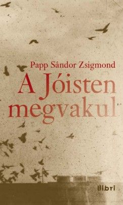 A Jóisten megvakul - Papp Sándor Zsigmond | 