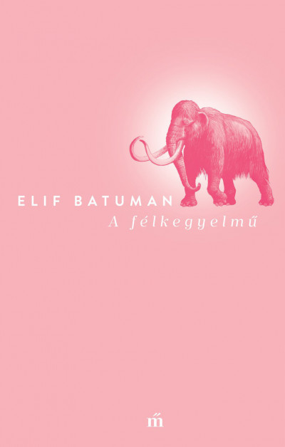 A félkegyelmű - Elif Batuman | 