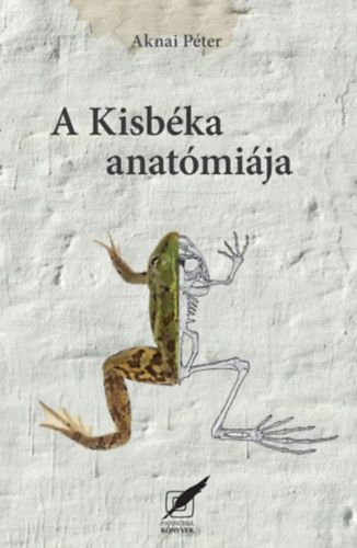 A kisbéka anatómiája - Aknai Péter | 