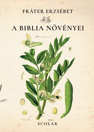 A Biblia növényei - Fráter Erzsébet | 