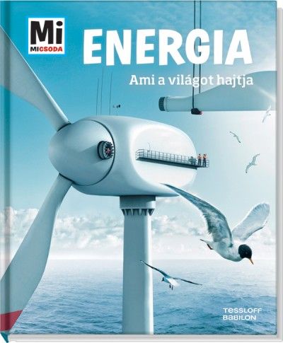 Energia - Laura Hennemann pdf epub 