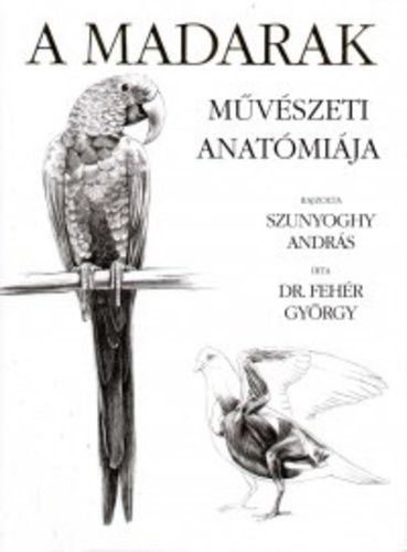 A madarak művészeti anatómiája - Dr. Fehér György | 