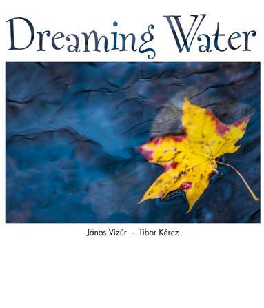 Dreaming waters