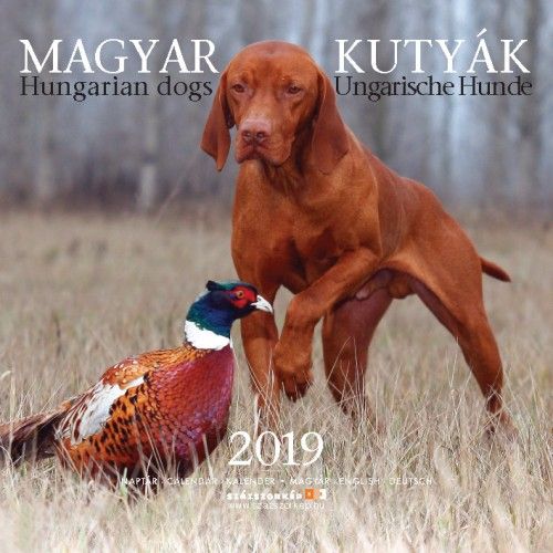 Magyar Kutyák - Naptár 2019
