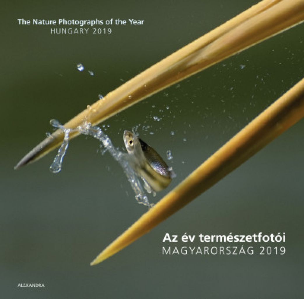 Az év természetfotói - Magyarország 2019 - The Nature Photographs of the Year - Hungary 2019