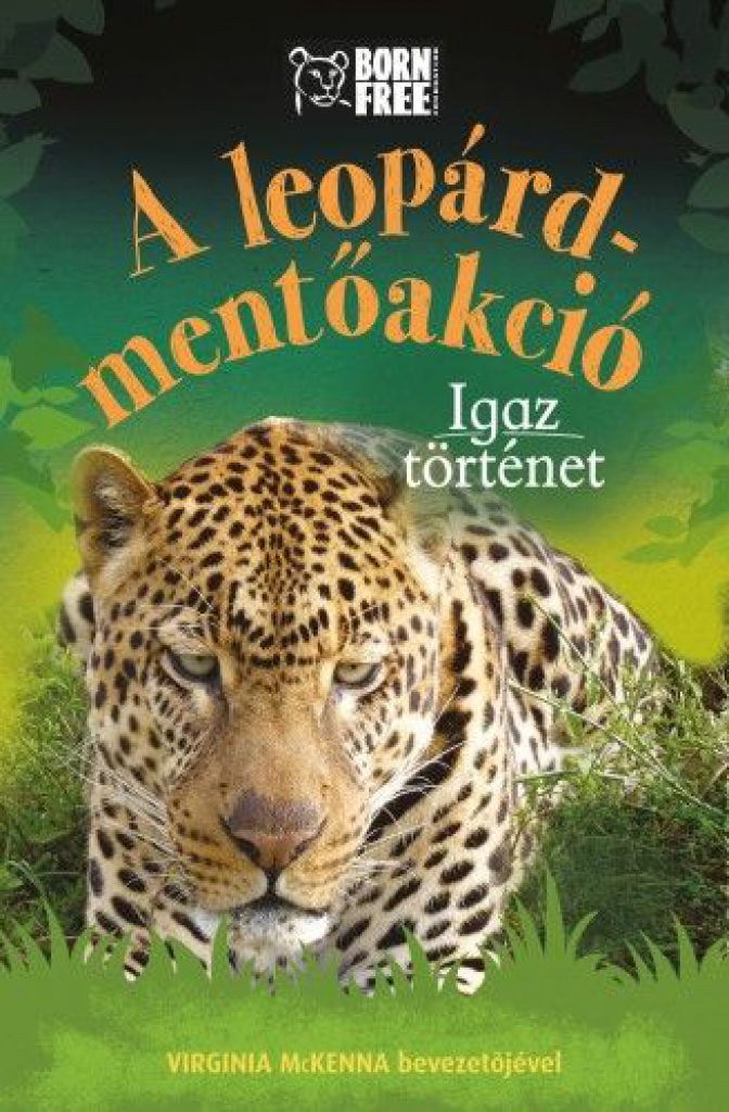 A leopárd-mentőakció - Igaz történet