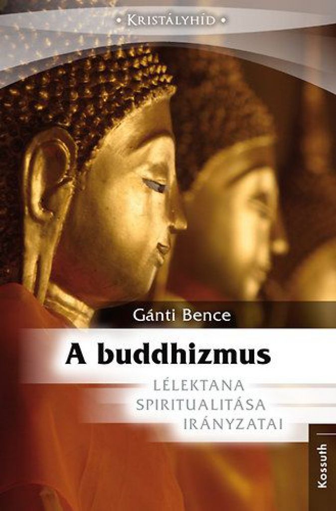 Gánti Bence - Buddhizmus - Lélektana, Spiritualitása, Irányzatai