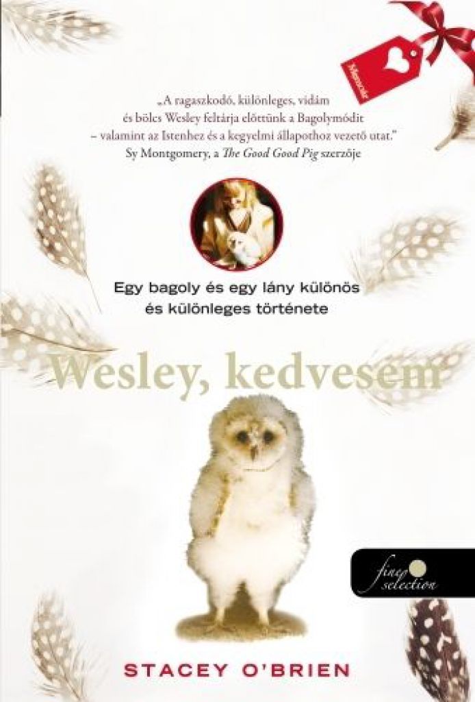 Wesley, kedvesem - Egy bagoly és egy lány különös és különleges története