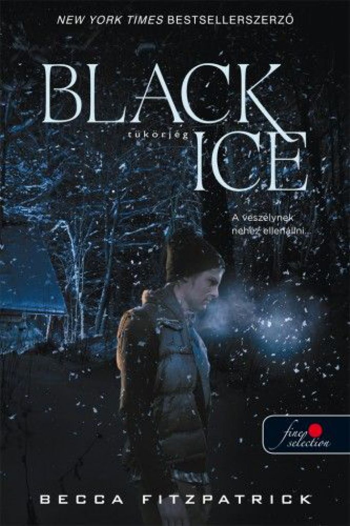 Becca Fitzpatrick - Black Ice - Tükörjég