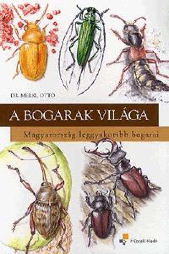 A bogarak világa Magyarország leggyakoribb bogarai