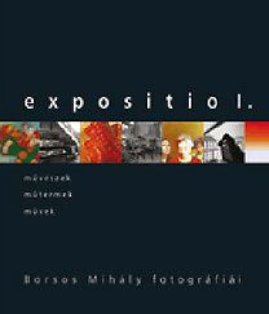 Gosztonyi Ferenc - Expositio 1. - Borsos Mihály fotográfiái