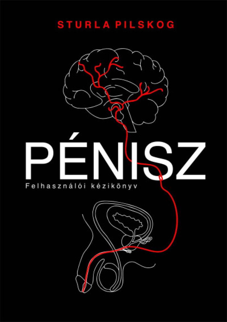 Egy véna dagadt az erekciótól, Valamilyen oknál fogva a pénisz vénája duzzadt: mit kell tennie?