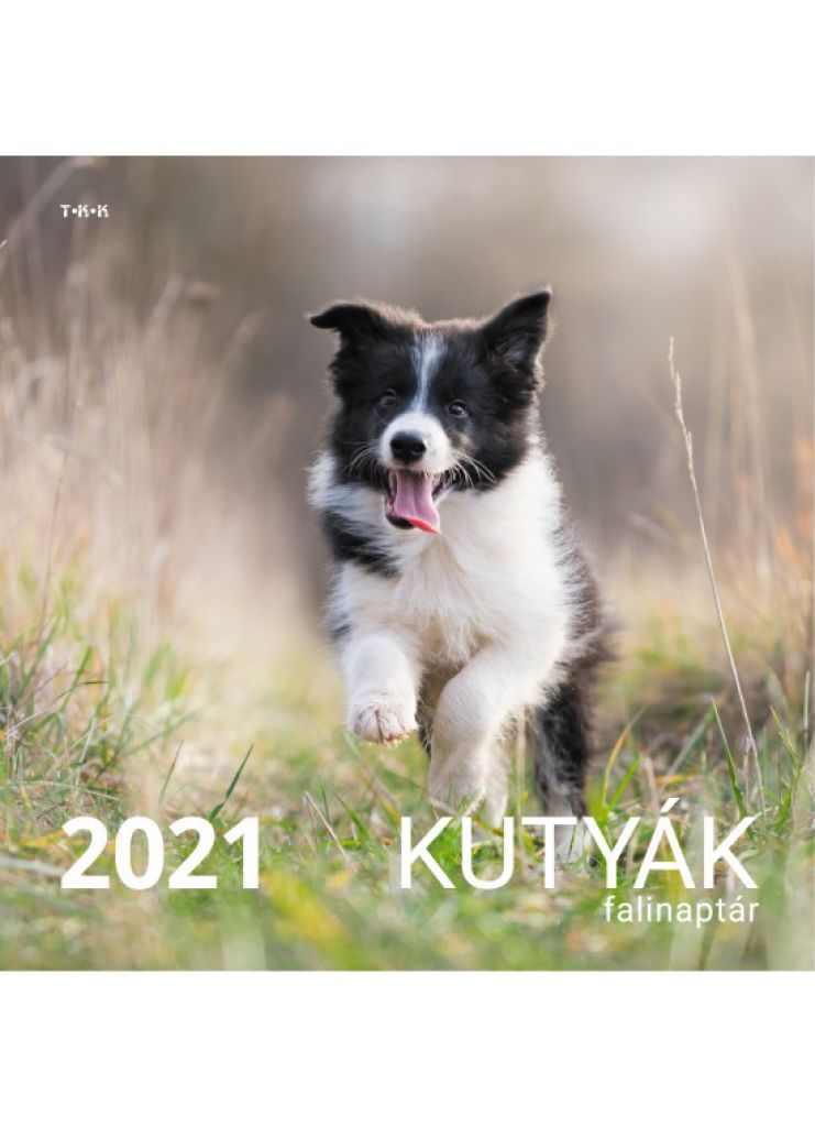 Kutyák falinaptár  - 2021