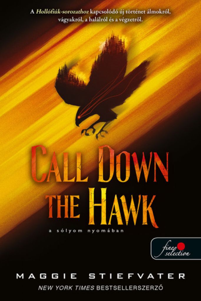 Maggie Stiefvater - Call Down the Hawk - A sólyom Nyomában