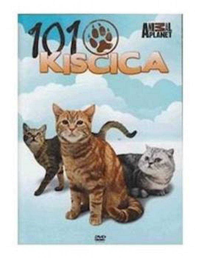 101 Kiscica - DVD