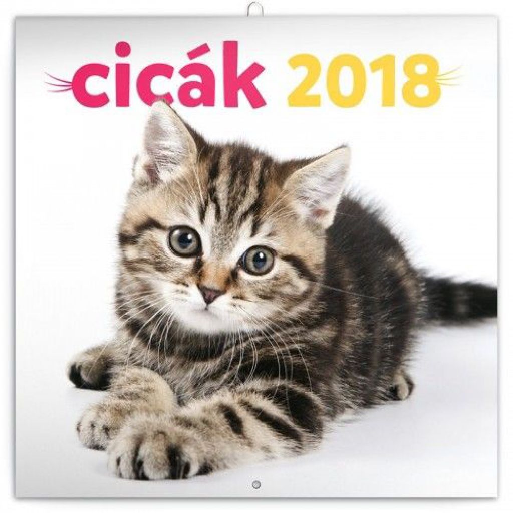 Kittens - Cicák 2018 - Naptár