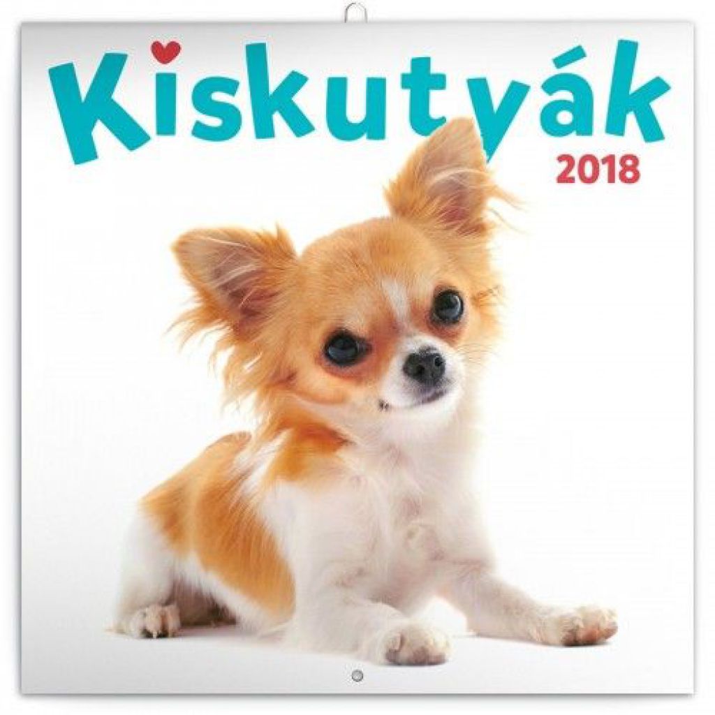Puppies - Kiskutyák 2018 - Naptár