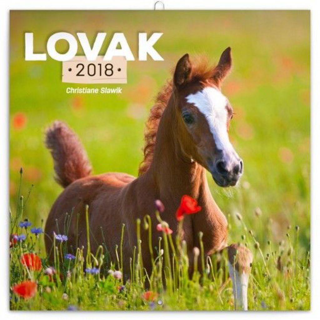 Horses – Lovak 2018 - Naptár