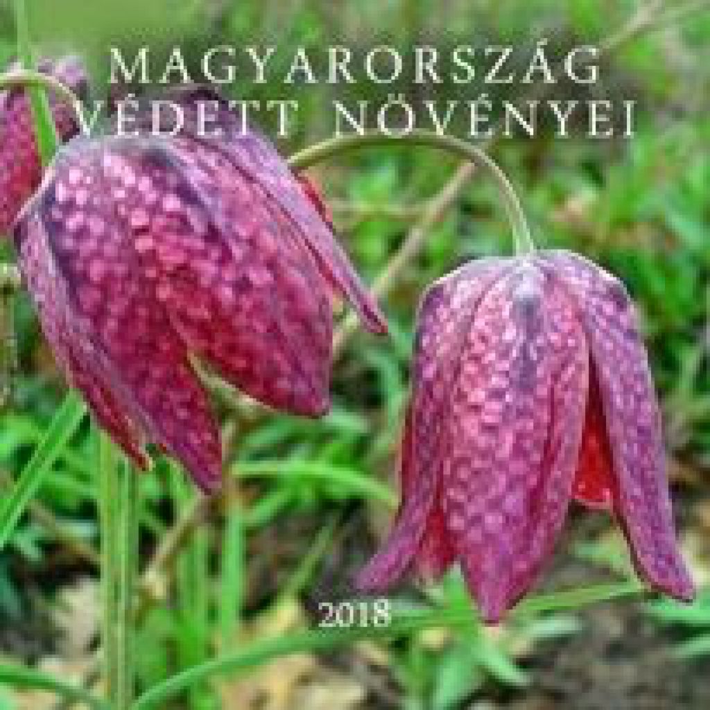 Magyarország védett növényei - Naptár 2018