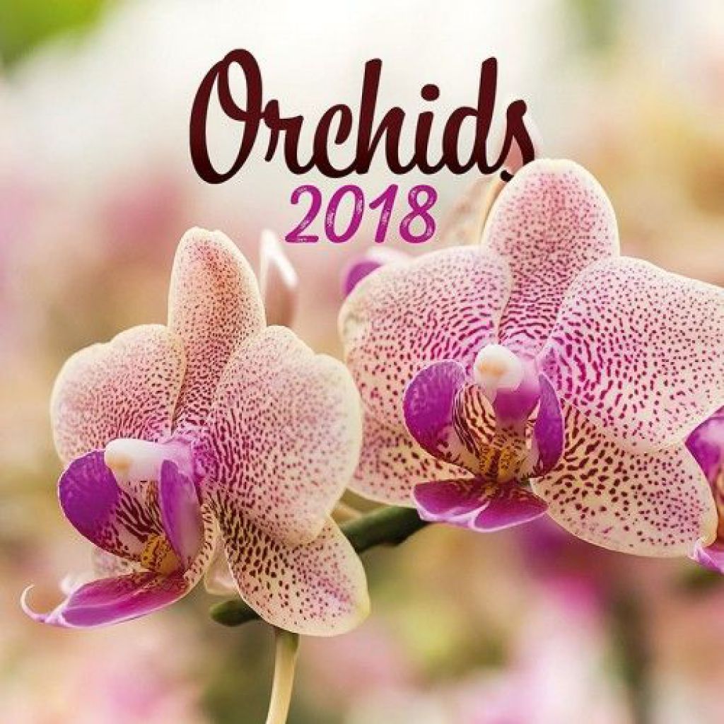 Orchids 2018 - Naptár