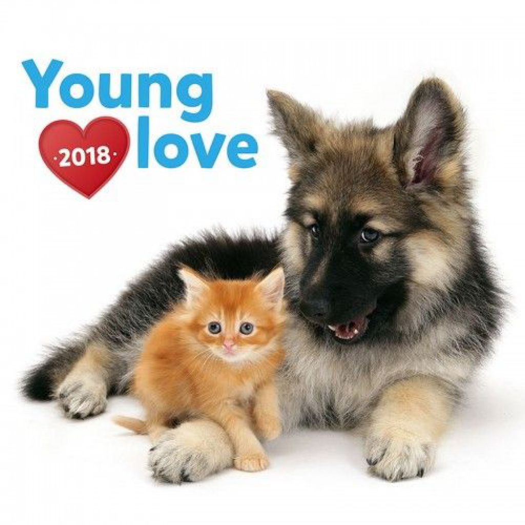 Young Love – Kittens & Puppies 2018 - Naptár